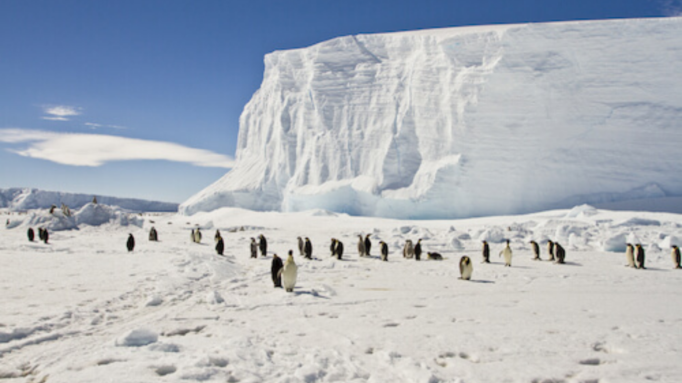 Facts About Antarctica